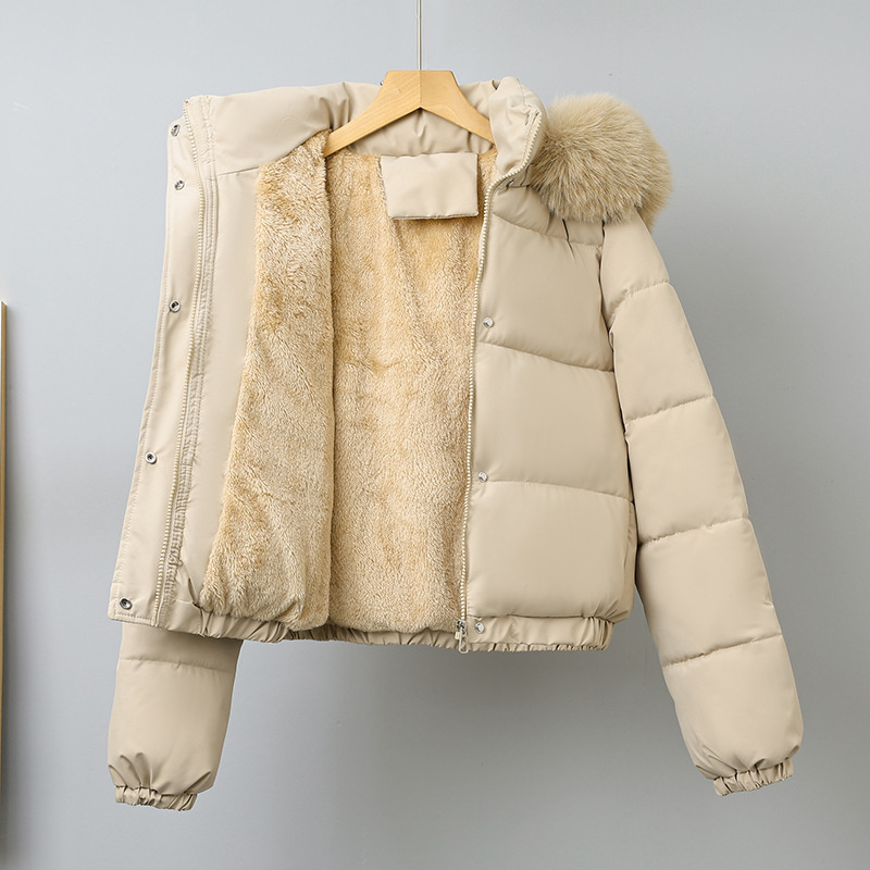 Wool Coat Peacoat - 겨울 짧은 파카 여성용 면 패딩