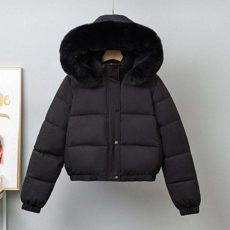 겨울 짧은 파카 여성용 면 패딩 의류 벨벳 두꺼운 겉옷 - Wool Coat Peacoat 리뷰 및 가격
