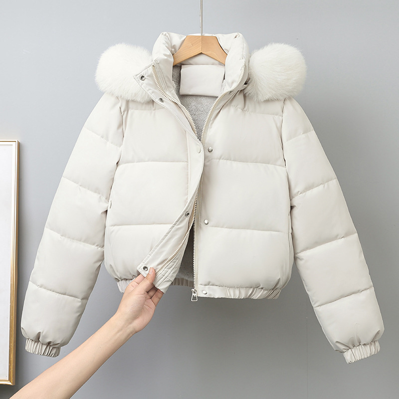 겨울 짧은 파카 여성용 면 패딩 의류 벨벳 두꺼운 겉옷 - Wool Coat Peacoat 리뷰 및 가격